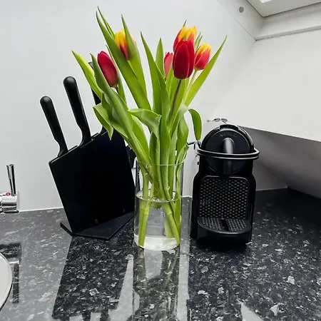 Stilvolles City-apartment Apartman Graz