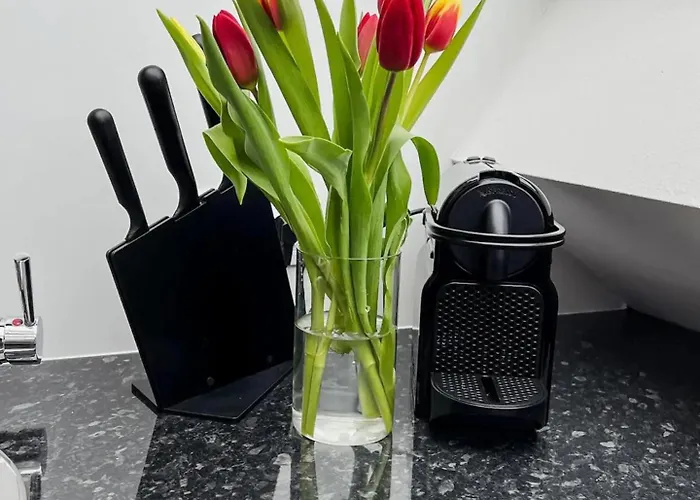 Stilvolles City-apartment Appartamento Graz